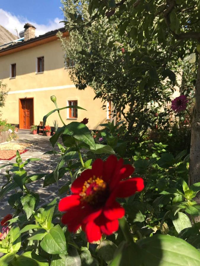 Guest House Sabriu Rabdisht Экстерьер фото
